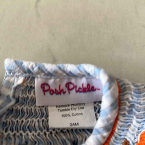 Posh Pickle pumpkin smocked collar dress size 24 months - Picture 4 of 5